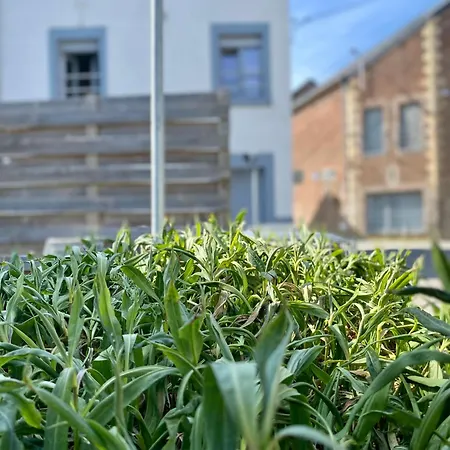 Les Du Broukay - Hirondelle